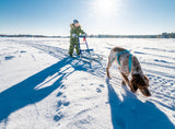 Traditional ESLA Kicksleds