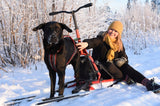 ESLA Adventure Kicksled Dogsled for Mushing