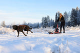 ESLA Adventure Kicksled Dogsled for Mushing