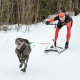 Kainpo Combi Plus Dog Mushing Adapter Antenna for Kickspark