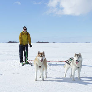 3 Kicksleds that are Awesome for Mushing with Dogs