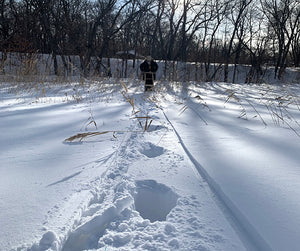 Guide to Kicksledding Snow Conditions: How deep of snow can I kicksled in?